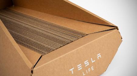 Inaspettato: Tesla ha presentato un letto per gatti nello stile del pick-up elettrico Cybertruck