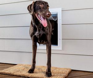 PetSafe Nuova porta a muro per ...