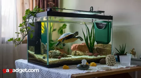 Miglior Filtro per Acquario di Tartarughe