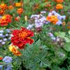 Recensione Xiaomi Redmi 10: il leggendario produttore di budget, ora con una fotocamera da 50 megapixel-200 Recensione Xiaomi Redmi 10: il leggendario produttore di budget, ora con una fotocamera da 50 megapixel-200