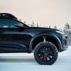 Elementi di design della Q6 Sportback E-Tron