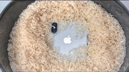 Apple invita gli utenti a non mettere gli iPhone bagnati nel riso