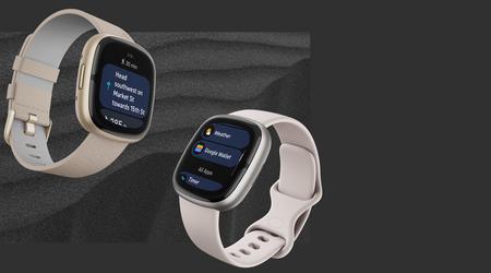 Fitbit.com è inattivo dal 1° ottobre: Tutti i prodotti sono disponibili esclusivamente sul Google Store