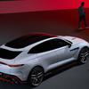 Aston Martin DBX S - dettagli interni