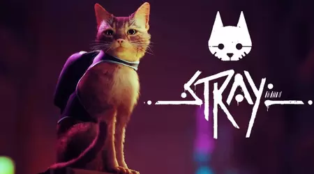 Il gioco del giorno: Stray - il viaggio cyberpunk di un gatto rosso attraverso un mondo in rovina è ora disponibile su Nintendo Switch