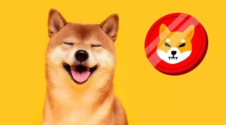 Shiba Inu joke token in crescita del 331% e nella top 20 delle criptovalute grazie a Ilon Musk