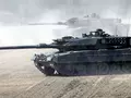 post_big/Leopard_2-3.jpg