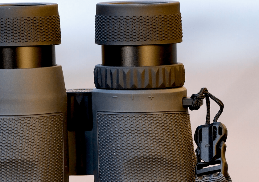 Binocolo da caccia Leupold BX-5 Santiam HD 15x56