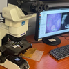 Google e il Pentagono hanno sviluppato un microscopio basato sull'intelligenza artificiale per la diagnosi del cancro-5 Google e il Pentagono hanno sviluppato un microscopio basato sull'intelligenza artificiale per la diagnosi del cancro-5
