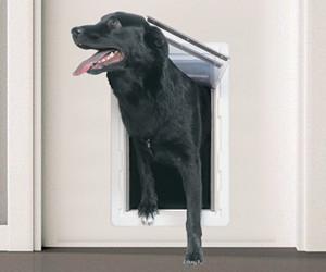 PERFECT PET La porta per cani ...