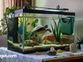 post_big/best_turtle_tank_filter-min.jpg