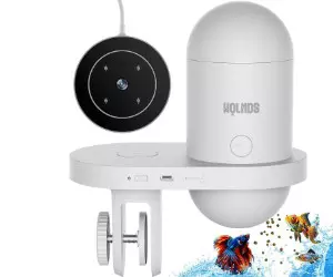 Alimentatore automatico per pesci Wolmds con ...