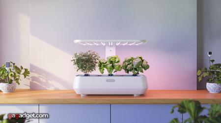 Dispositivi Smart per la Cura delle Piante