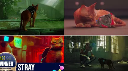 La storia di Stray: come un gatto di una cybercittà è diventato la scoperta dell'anno e ha influenzato l'industria dei videogiochi