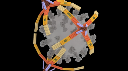 Gli scienziati hanno creato un "braccio" microscopico fatto di DNA che cattura i virus per prevenire le infezioni