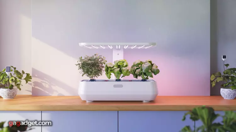 Dispositivi Smart per la Cura delle ...