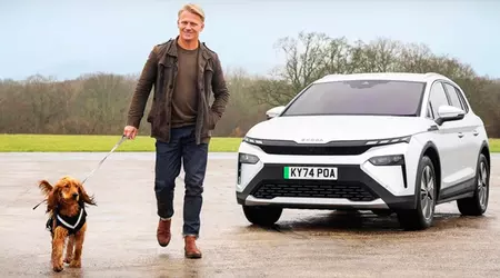 I cani scelgono le auto elettriche: uno studio dimostra che i viaggi sono meno stressanti