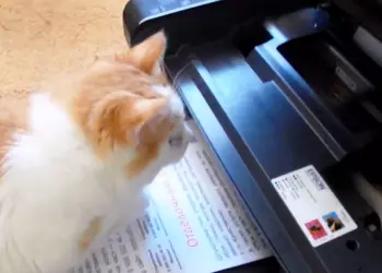 La migliore stampante per la casa ...