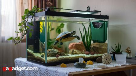 Miglior Filtro per Acquario di Tartarughe
