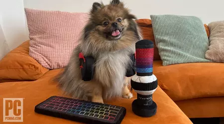 HyperX presenta accessori da gioco... per animali domestici