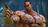 Il potente Fahkumram fa il suo ingresso in Tekken 8: Bandai Namco ha svelato un trailer di gameplay del nuovo combattente DLC