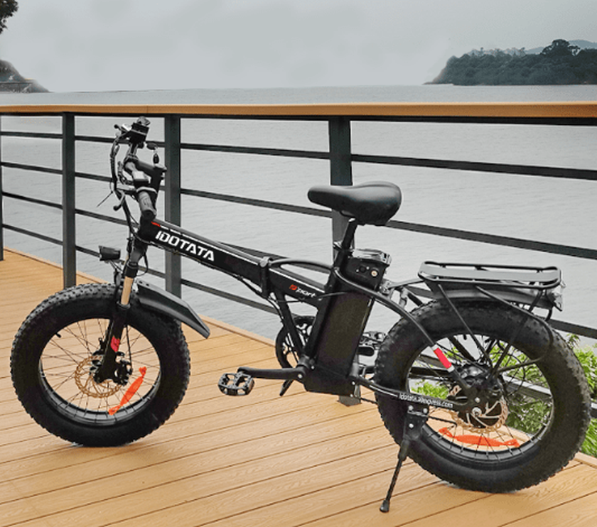 DEEPOWER G20 bicicletta pieghevole per ciclisti pesanti