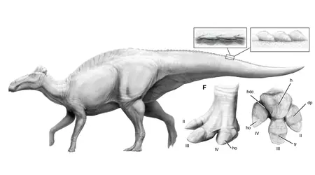 Sensazione in Paleontologia: Scoperto per la Prima Volta un Dinosauro con Zoccoli