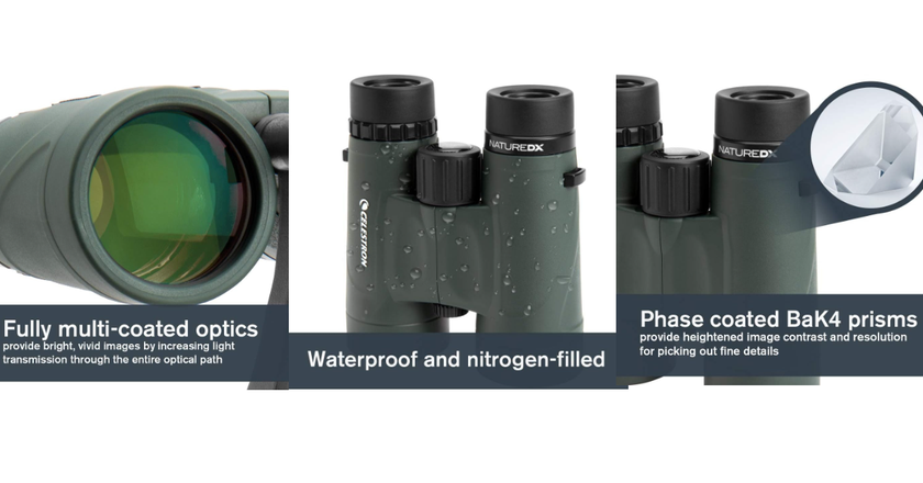 Celestron Nature DX 8x42 binocoli per l'osservazione delle balene