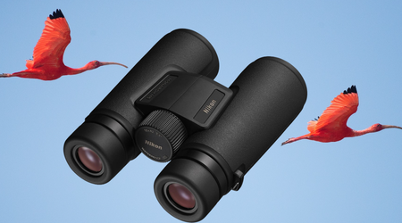 Migliori Binocoli Compatti per Birdwatching
