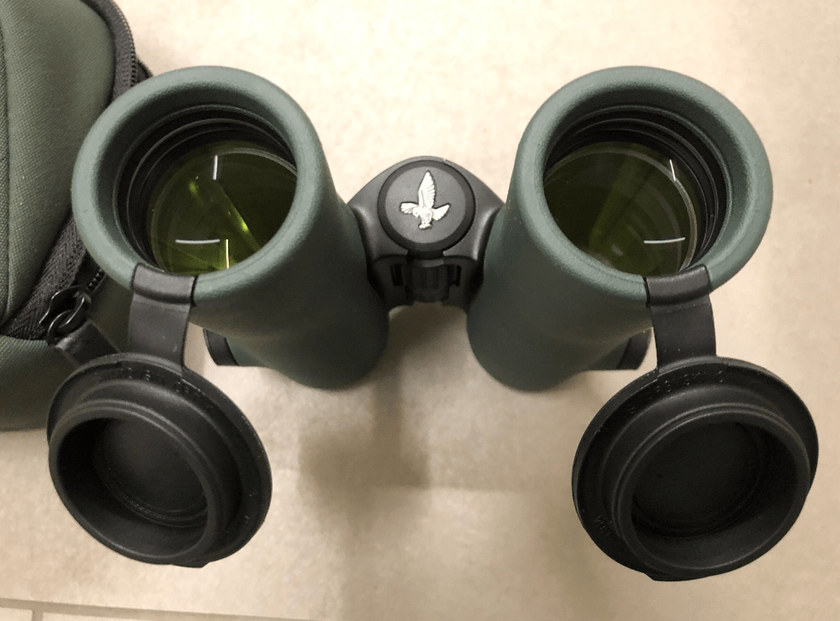 Swarovski NL Pure 10x32 Binocolo sportivo