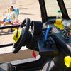 Ami Buggy Palmeira nei dettagli
