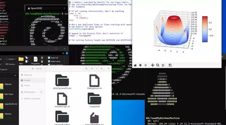 Windows Subsystem per Linux è apparso nel Microsoft Store di Windows 11