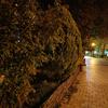 Recensione Oneplus Nord 2: si ricarica in 35 minuti e la fotocamera migliore della categoria-198 Recensione Oneplus Nord 2: si ricarica in 35 minuti e la fotocamera migliore della categoria-198