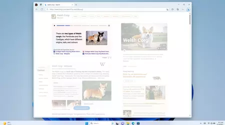 Microsoft lancia Bing Stories, che visualizza brevemente informazioni su una query di ricerca
