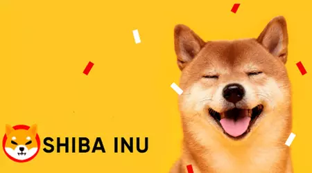 L'utente investe 8.000 dollari nella criptovaluta Shiba Inu e guadagna più di 5.000.000 di dollari