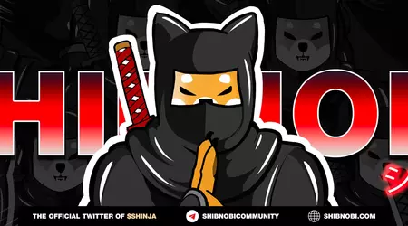 Un investitore ha guadagnato $ 3.200.000 sulla criptovaluta meme di Shibnoni in tre mesi: dopo la vendita, il prezzo dell'asset è crollato