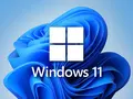 post_big/windows_11_logo.jpg