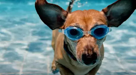 In Gemini Advanced è stata aggiunta la generazione di video Veo 2 - è possibile creare clip di qualità cinematografica fino a 8 secondi