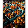 Anteprima delle caratteristiche di Google Pixel