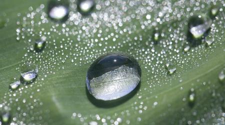 Gli scienziati hanno filmato il processo di formazione dell'acqua utilizzando la nanotecnologia