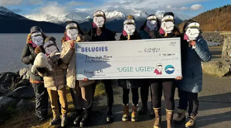 Un artista di 14 anni ha guadagnato oltre 1.000.000 di dollari in 10 ore con i cartoni animati NFT creati con l'iPhone 8