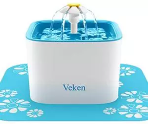 Fontana d'acqua per gatti