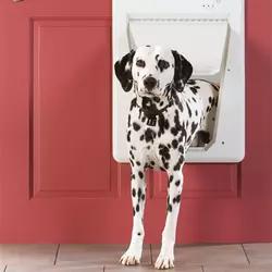 PetSafe Porta elettronica SmartDoor per cani e gatti
