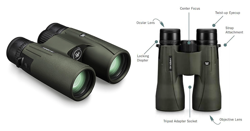 Vortex Viper HD 8x42 binocoli per l'osservazione delle balene