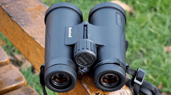 Binocolo compatto Bushnell 8x42 Engage 8x42