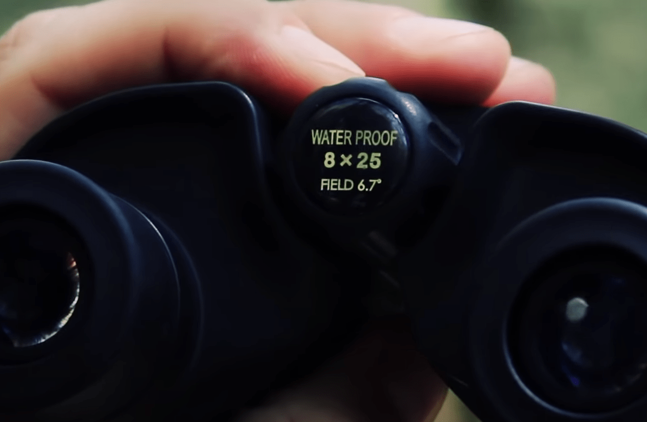 Binocolo da caccia Leupold BX-1 Rogue 8x25