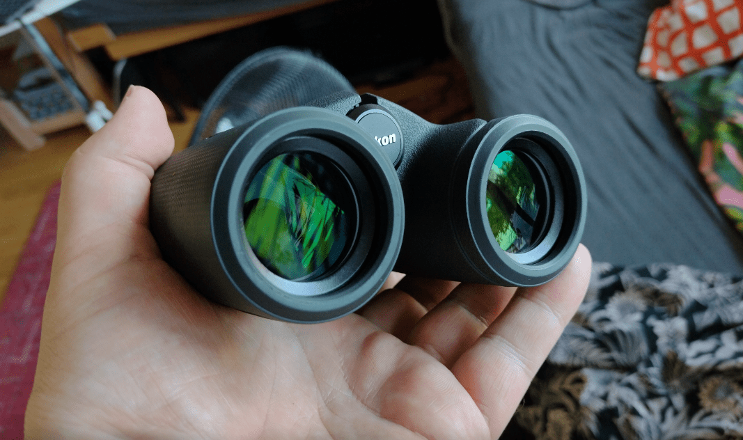 Il miglior binocolo per bambini Nikon PROSTAFF P7 8x30