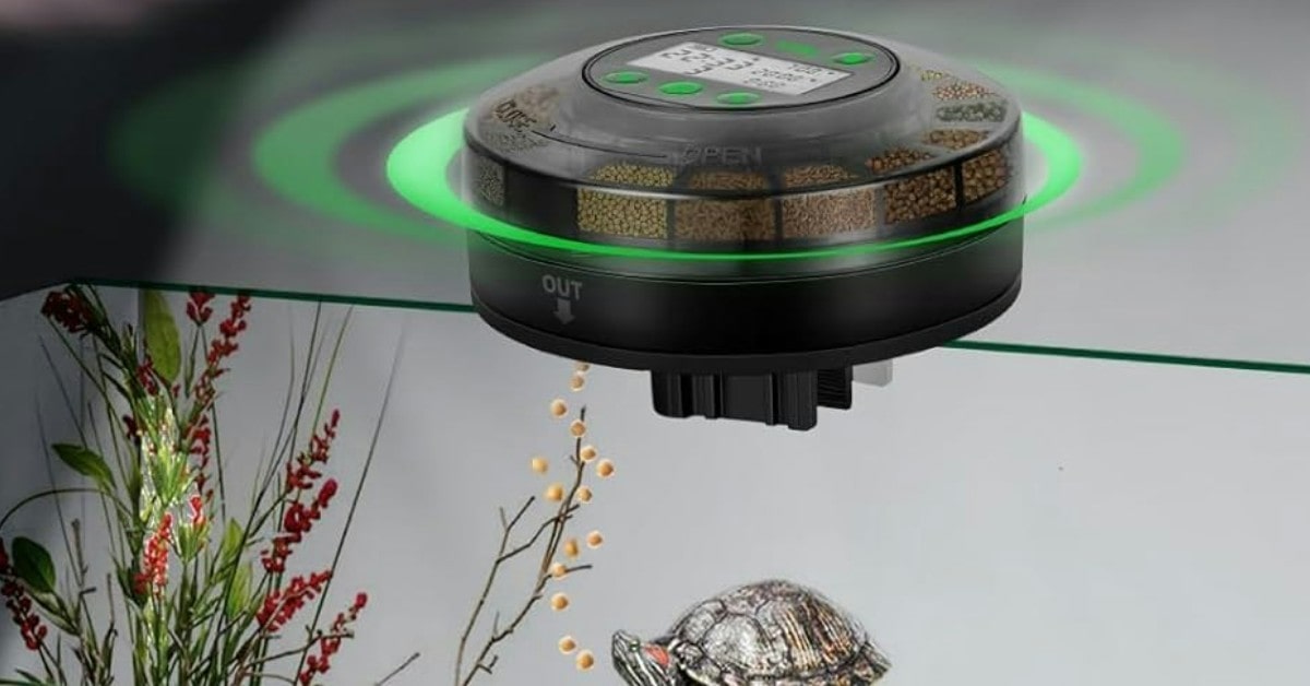 dispenser cibo pesci vacanze Papettly