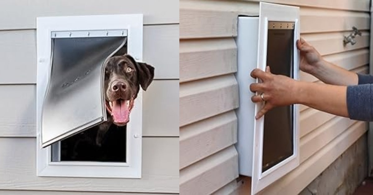 Porta elettronica per cani PetSafe New Wall Entry