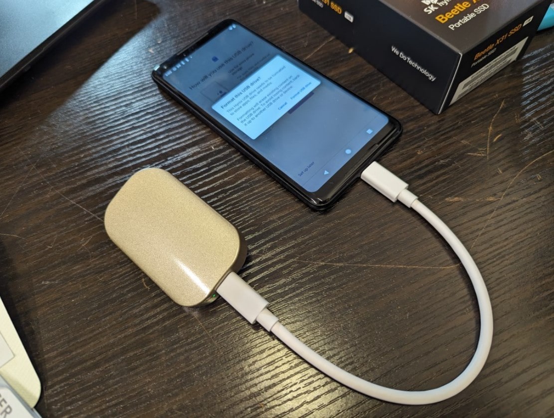 SK hynix Beetle X31 Hard disk esterno 100 euro